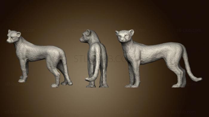 3D model Cheetah (STL)